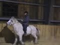 White Icy Mare 12-2008 Sunna White Icy Mare 12-2008 Sunna