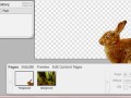 Sprout Builder - Master Pages Sprout Builder - Master Pages