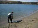 Tomales Dip Tomales Dip