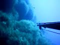 pesca in apnea - dentice all\ pesca in apnea - dentice all\