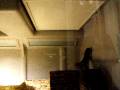 videos de Ball Python in a vision cage