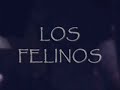 gran baile