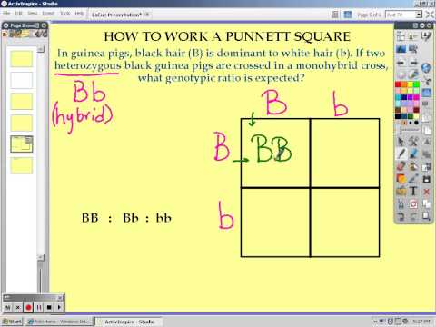 how to fill square in word
