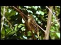 MagicalKenya - Kenya's Western Highlands