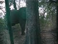 horse-riding-in-macatoo-botswana.html
