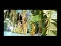 Mahi ve Remix from album SMITA