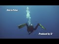 Blue Hole - Palau