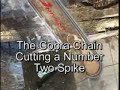 Cobra Chain - Carbide Chain by Carbide Chain of America
