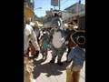 CARNAVAL 2008 SILACAYOAPAM OAX.