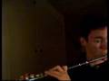 Mozart flute concerto no. 2 part 1 K314