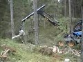 Rottne H-14 harvester 590 head