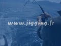 Jigging : Sacrée Bastos Part 2 Jigging : Sacrée Bastos Part 2
