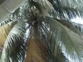Seychelles - Panorama Guesthouse