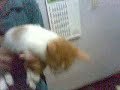 YouTubeサムネイル[VNq-X9tvbII] - 1枚目