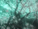 port-royal - leitmotiv | glasnost