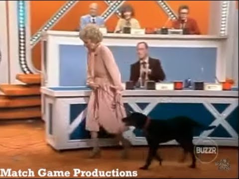 Match Game PM (Episode 201) (Meet Trotter: Gene's Daughter Lynn's Dog) (GOLD STAR EPISODE)