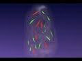 DNA microarrays DNA microarrays