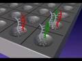 DNA microarrays