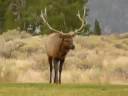 videos de Yellowstone Photographic Tour