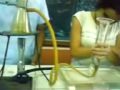 OXIDOS DEL NITROGENO.avi