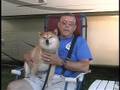RVing with Dogs