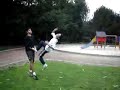 salto