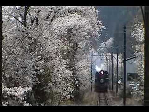 大井川鉄道　家山の桜トンネル①C10通過