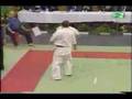 Kyokushin Highlights from Orosháza (Hungary)