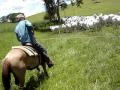 Lida no Campo 086.mpg