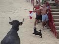 Bull Running Into the Sea