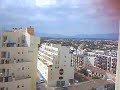Ampuria brava