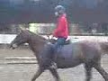 Nikiet op Courage