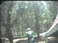 Belangelo single track through the pine forest.