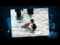 Discovery Cove Customer Photos