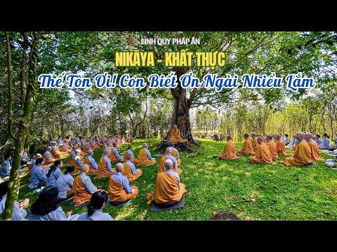 NIKAYA Khất Thực - Thế Tôn Ơi! Con Biết Ơn Ngài Nhiều Lắm *