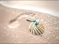 Carbon Footprint: "Sand"
