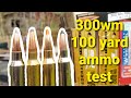 300 Win Mag Ballistics Chart 100 Yard Zero