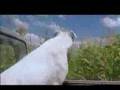 La Libertad de Lisando Alonso (Trailer) La Libertad de Lisando Alonso (Trailer)