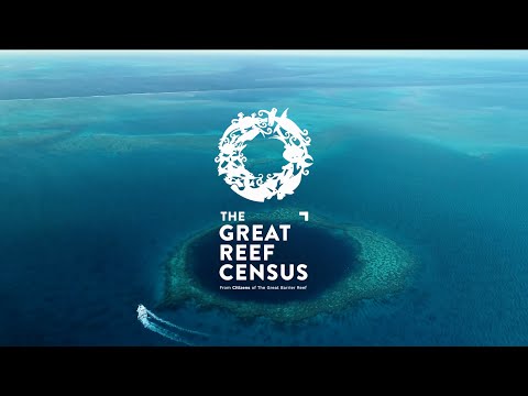 Citizen scientists are helping to protect the Great Barrier Reef ...