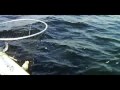 WHITEFISH FISHING LESSONS ON ROUND LAKE ...