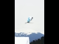 Freeskier Stefan Schenk foto 2008