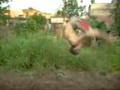 videos de Henrique Capoeira