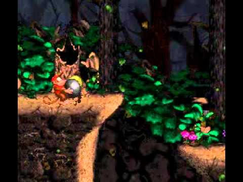 Donkey Kong Country 2 : Diddy's Kong Quest