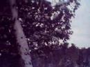 tahquamenon falls michigan helmat cam winter 2008