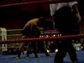 Radu Boca vs. Harrer Robert