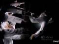 videos de Cool Taekwondo moves,flips and stuff