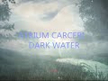 ATRIUM CARCERI - DARK WATER