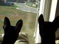 VID00014.AVI