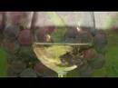 Bonterra PGA 2007 Wide Screen