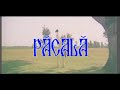 Pacala-2